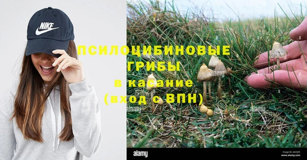 мяу мяу мука Абинск