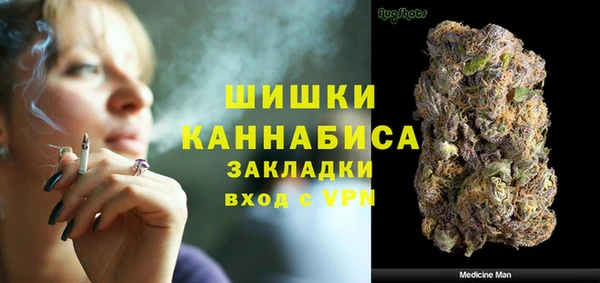 гидра Алексин