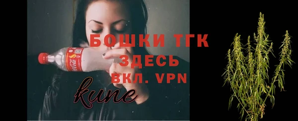 гидра Алексин